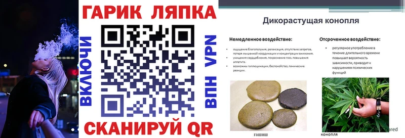 магазин    Каменногорск  ГАШИШ Premium 